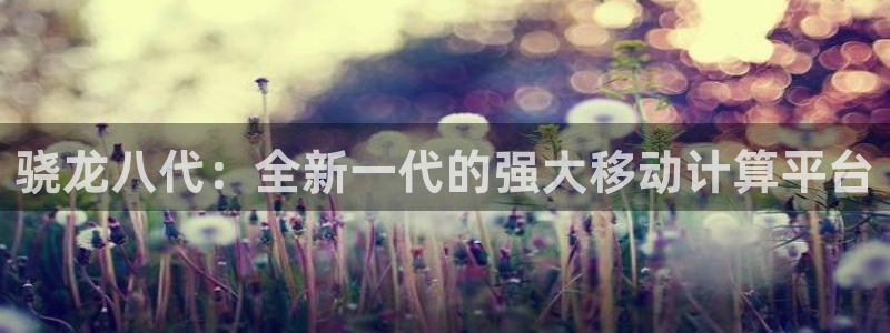 开丰娱乐平台官方入口：骁龙八代：全新一代的强大移动计算平台