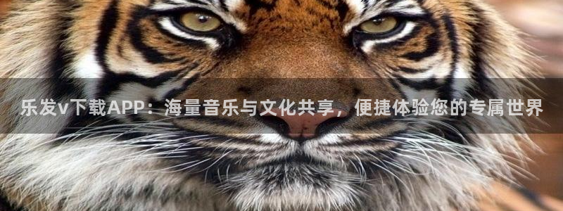 开丰娱乐网站平台：乐发v下载APP：海量音乐与文化共享，便捷体验您的专属世界