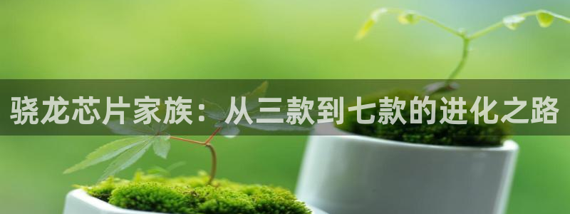 开丰娱乐注册网站链接：骁龙芯片家族：从三款到七款的进化之路