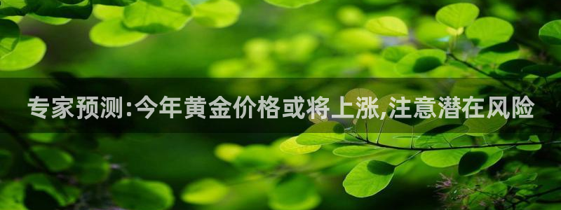开丰娱乐游戏：专家预测:今年黄金价格或将上涨,注意潜在风险
