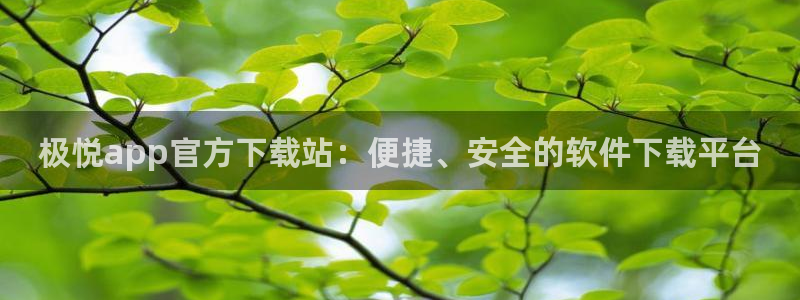 开丰娱乐网站平台：极悦app官方下载站：便捷、安全的软件下载平台