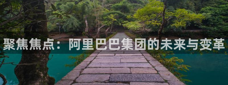 壹号大舞台怎么下载：聚焦焦点：阿里巴巴集团的未来与变革