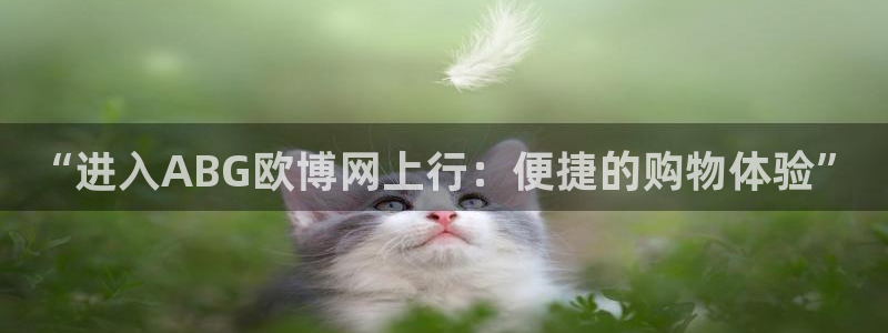 开丰娱乐游戏官网入口：“进入ABG欧博网上行：便捷的购物体验”