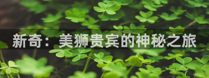 开丰娱乐官网：新奇：美狮贵宾的神秘之旅