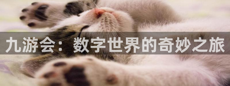 开丰娱乐游戏官网平台入口：九游会：数字世界的奇妙之旅