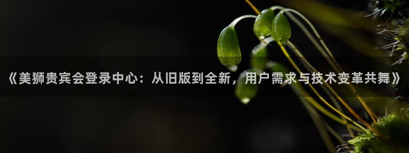 开丰娱乐在线预测：《美狮贵宾会登录中心：从旧版到全新，用户需求与技术变革共舞》