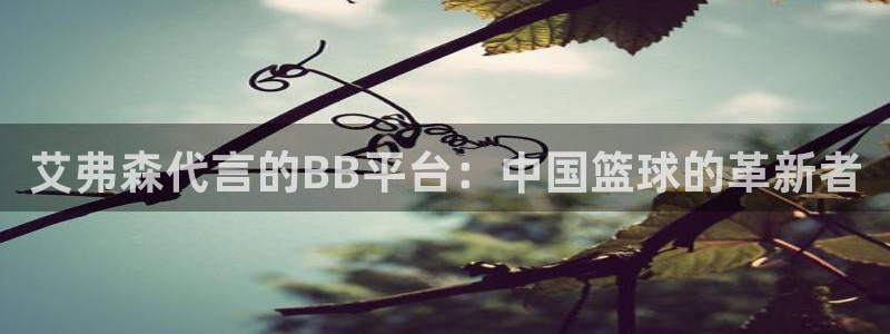 开丰娱乐可靠吗：艾弗森代言的BB平台：中国篮球的革新者