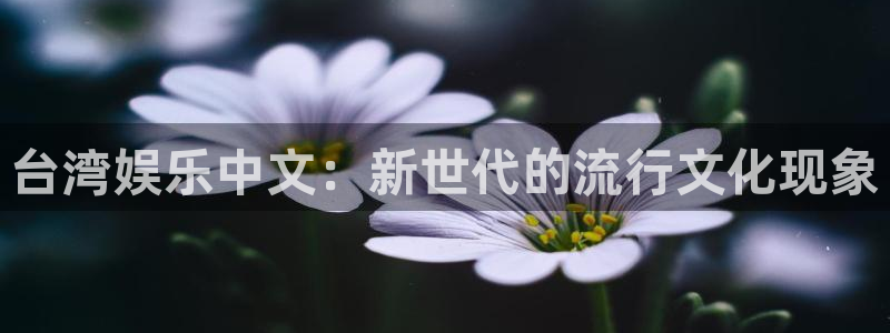 开丰娱乐注册链接：台湾娱乐中文：新世代的流行文化现象
