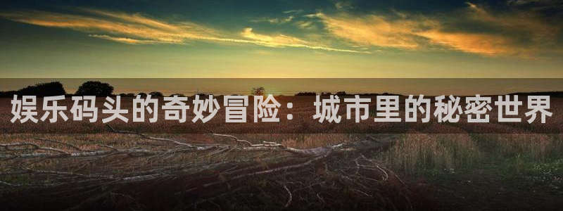 壹号官网app下载安装：娱乐码头的奇妙冒险：城市里的秘密世界