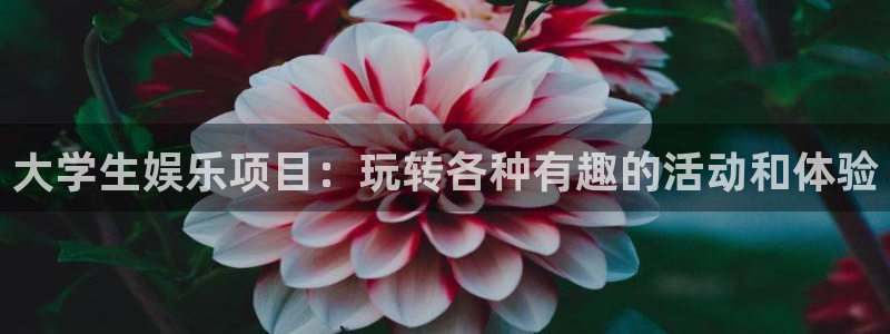 开丰娱乐下载链接是多少：大学生娱乐项目：玩转各种有趣的活动和体验