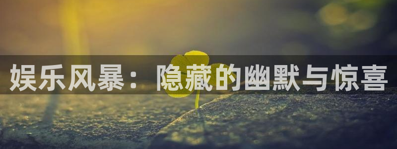 开丰娱乐麻将胡了：娱乐风暴：隐藏的幽默与惊喜