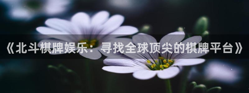 开丰娱乐网页版登：《北斗棋牌娱乐：寻找全球顶尖的棋牌平台》