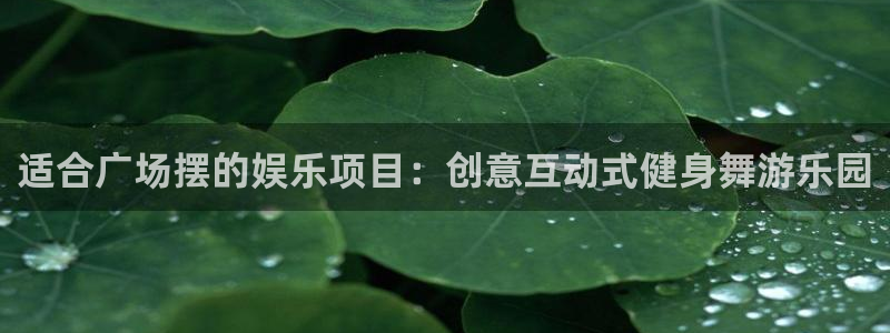开丰娱乐强制退款流程详解：适合广场摆的娱乐项目：创意互动式健身舞游乐园