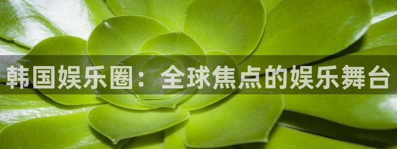 开丰娱乐app：韩国娱乐圈：全球焦点的娱乐舞台