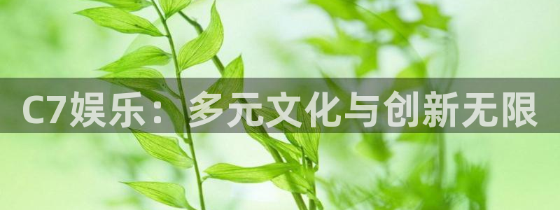 开丰娱乐吧：C7娱乐：多元文化与创新无限