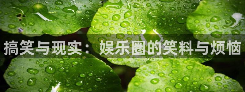 壹号电子娱乐app下载最新版本安装：搞笑与现实：娱乐圈的笑料与烦恼