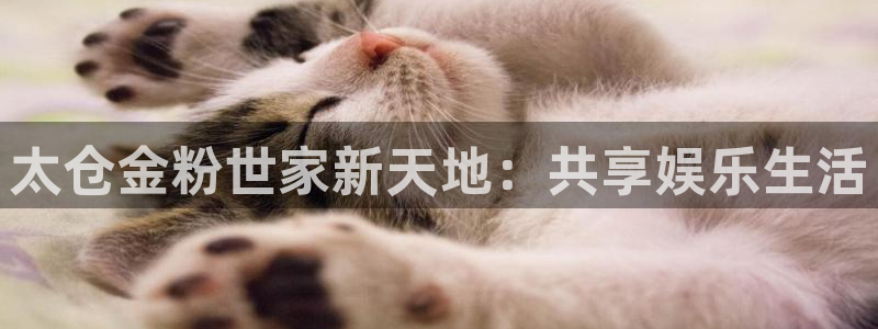 开丰娱乐麻将胡了：太仓金粉世家新天地：共享娱乐生活