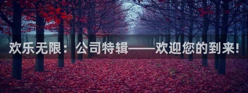 开丰娱乐是什么：欢乐无限：公司特辑——欢迎您的到来!
